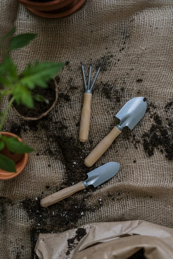 Small gardening tools and a potted herb plant on burlap for growing your own herbs.